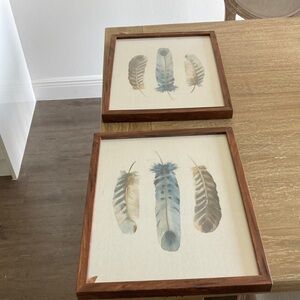 Frames of feathers $28 each I payed